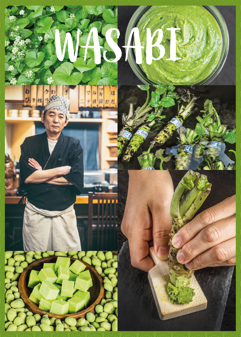 Wasabi: Das Grüne Gold Japans