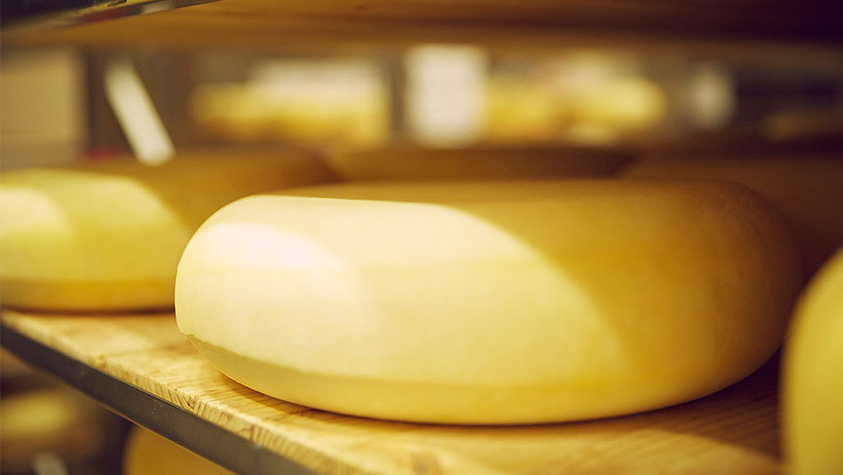 Biokäse-Welt Käselagerung Biokäse-Welt Käselagerung