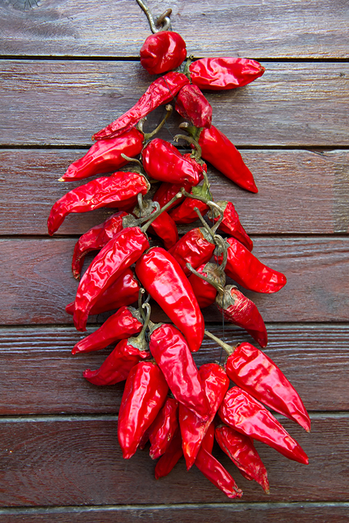 Rote Chilis sind ideal als scharfes Gewürz geeignet 