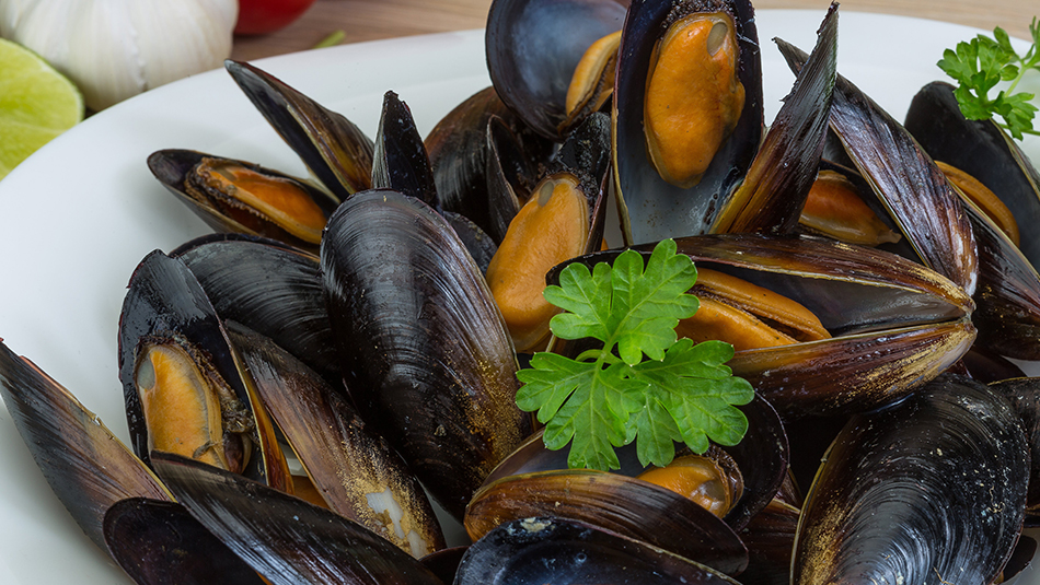 Muscheln und Käse Rezept Muscheln und Käse harmonieren perfekt miteinander.