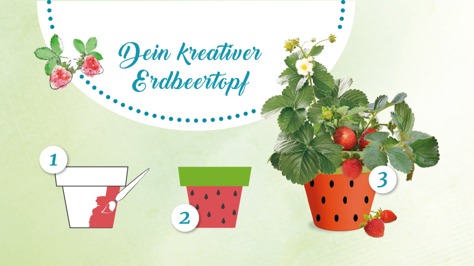 Kreativer Erdbeertopf DIY Kreativen Erdbeertopf zum Selbermachen