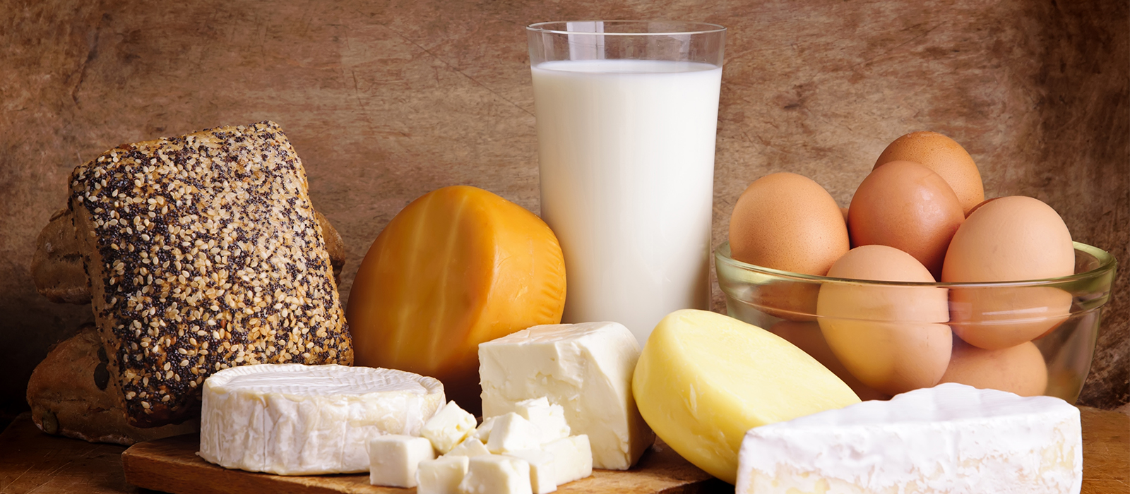 Alles über Käse Gesundheit Alles über Käse Gesundheit