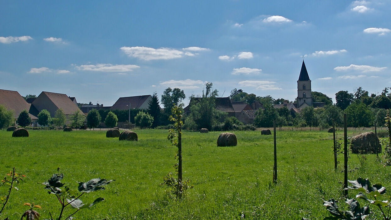 Berthaut Dorf Epoisses