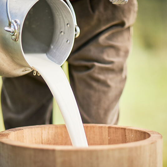 Frische Milch vom Bauern Frische Milch vom Bauern