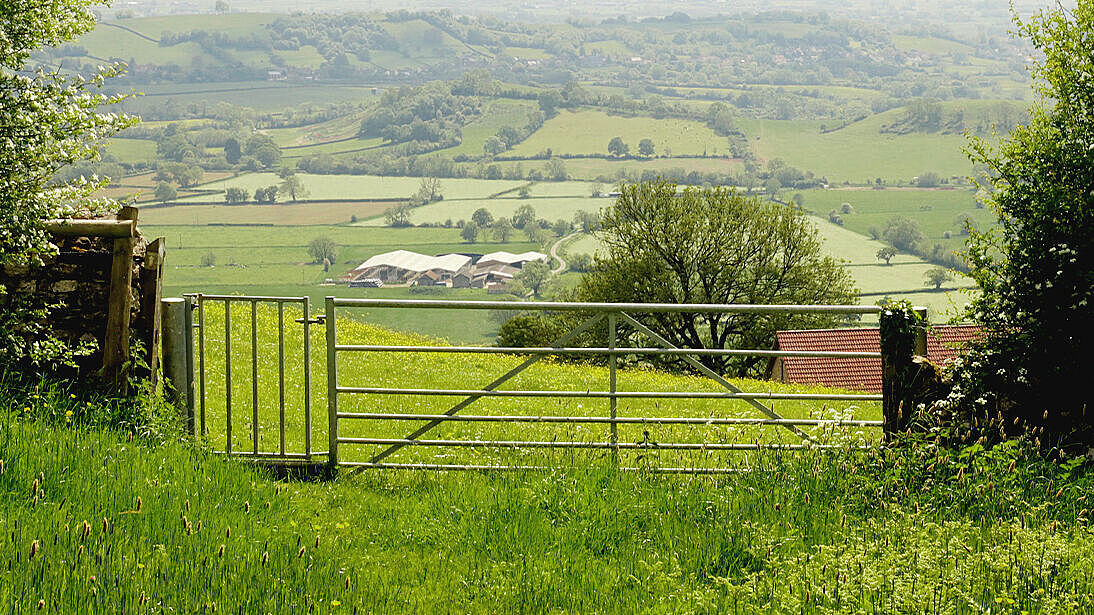 Weidetor inmitten eine saftigen grünen Landschaft im idyllischen West Country, der Herkunft des Cheddar.