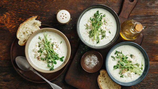 Käsesuppe selber machen Käsesuppe selber machen