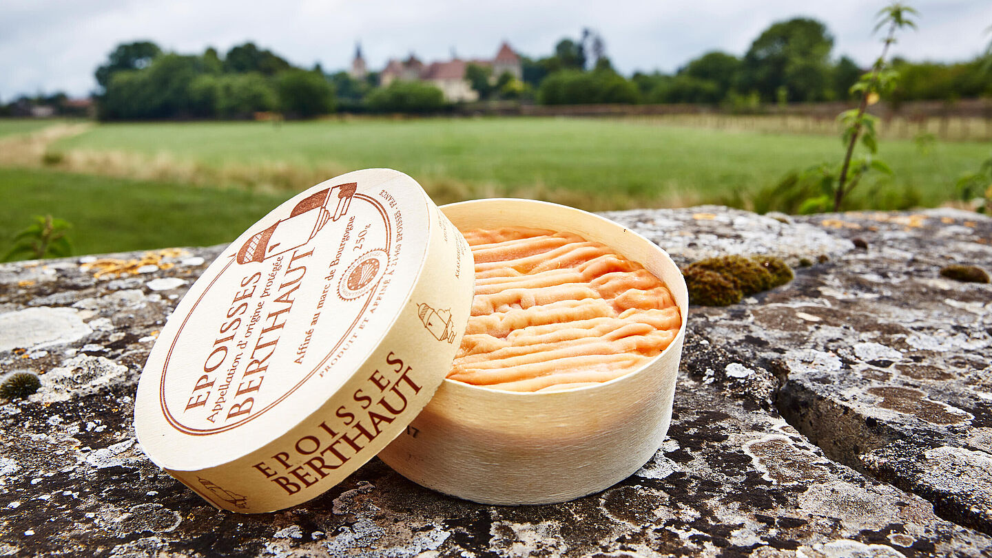 Epoisses Berthaut Ambiente