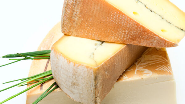 Käsesorten halbfester Schnittkäse