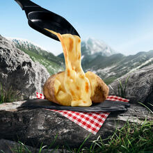 Le Rustique Raclette