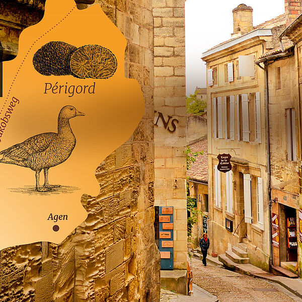 Genussreise durch die Aquitaine. 