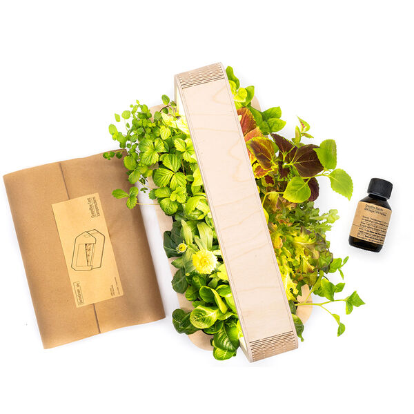 GreenBox Einstieg Deluxe Bundle