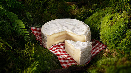 Le Rustique Camembert 