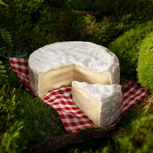 Le Rustique Camembert 