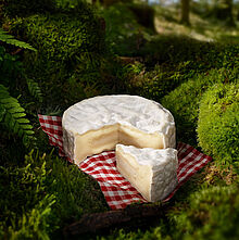 Le Rustique Camembert 