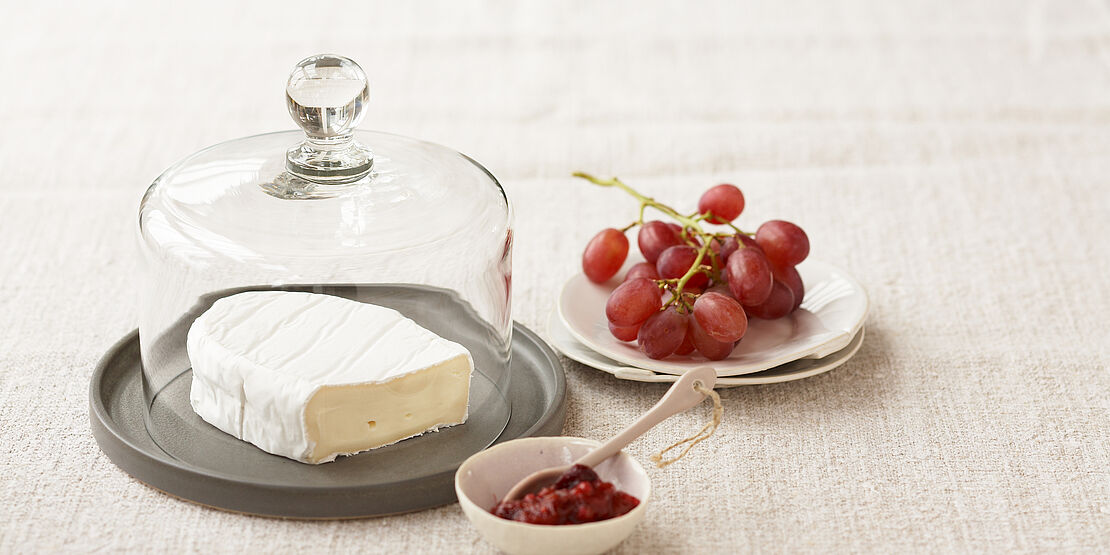 Weißschimmelkäse am Stück unter eine gläsernen Käseglocke mit roten Trauben und Preiselbeeren