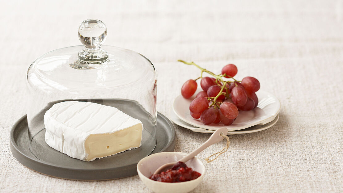 Käsewissen: Weißschimmel ist ein Außenschimmel der einen weißen Flaum entwickelt Weißschimmelkäse am Stück unter eine gläsernen Käseglocke mit roten Trauben und Preiselbeeren
