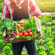 Regionales Obst und Gemüse schmeckt im Frühling