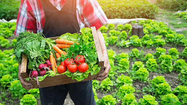 Regionales Obst und Gemüse schmeckt im Frühling