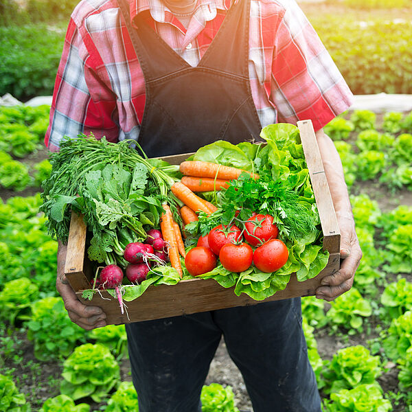 Regionales Obst und Gemüse schmeckt im Frühling