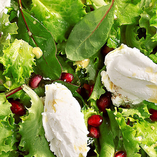 Frischer bunter Sommersalat mit Ziegenkäse und Granatapfelkernen, ideal für eine leichte Sommermahlzeit.