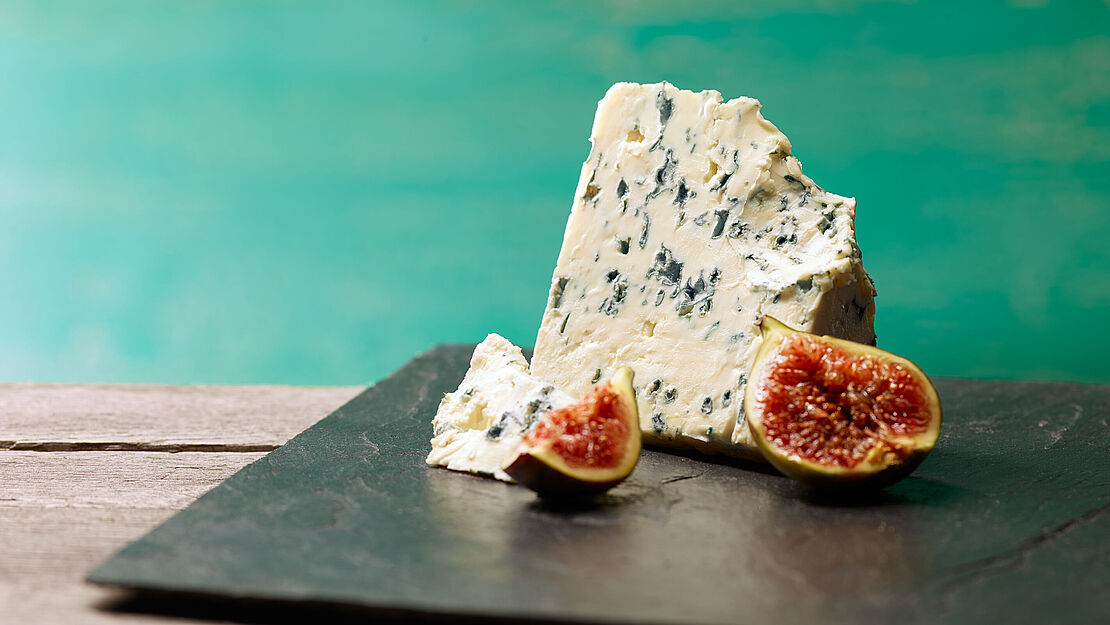 Käsewissen: Bekannte Blauschimmelkäse sind Gorgonzola und Saint Agur Edler Blauschimmelkäse am Stück auf einer grauen Schiefernplatte mit einer halben Feige garniert