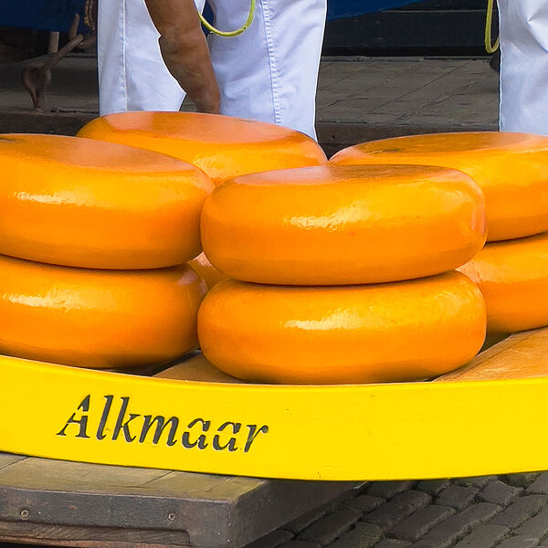 Käse aus den Niederlanden