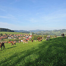 Milkana Kühe Wiese Landschaft Allgäu