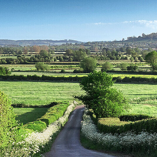 Britische Landschaft mit grünen Wiesen und Weiden