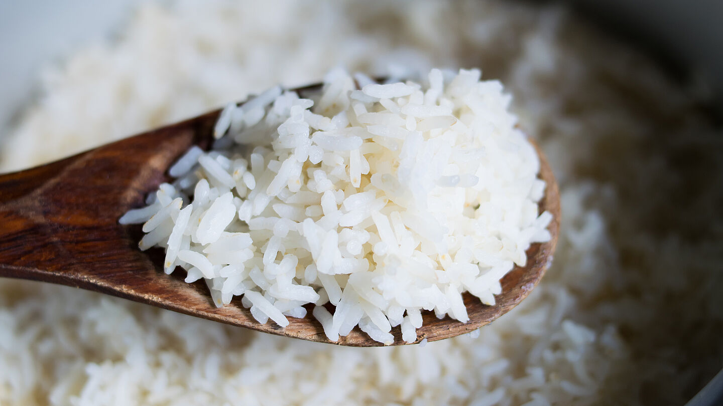 Reisrezepte Unsere Reisrezepte