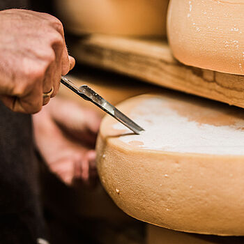 Käse-Wissen: Alles über Käse Tipps und Tatsachen für noch mehr Käse-Genuss