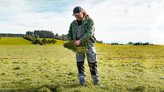 Allgäuer Bauer bei Prüfung der Heuqualität