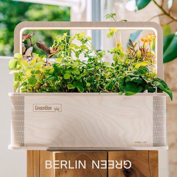 Jetzt Greenbox gewinnen!
