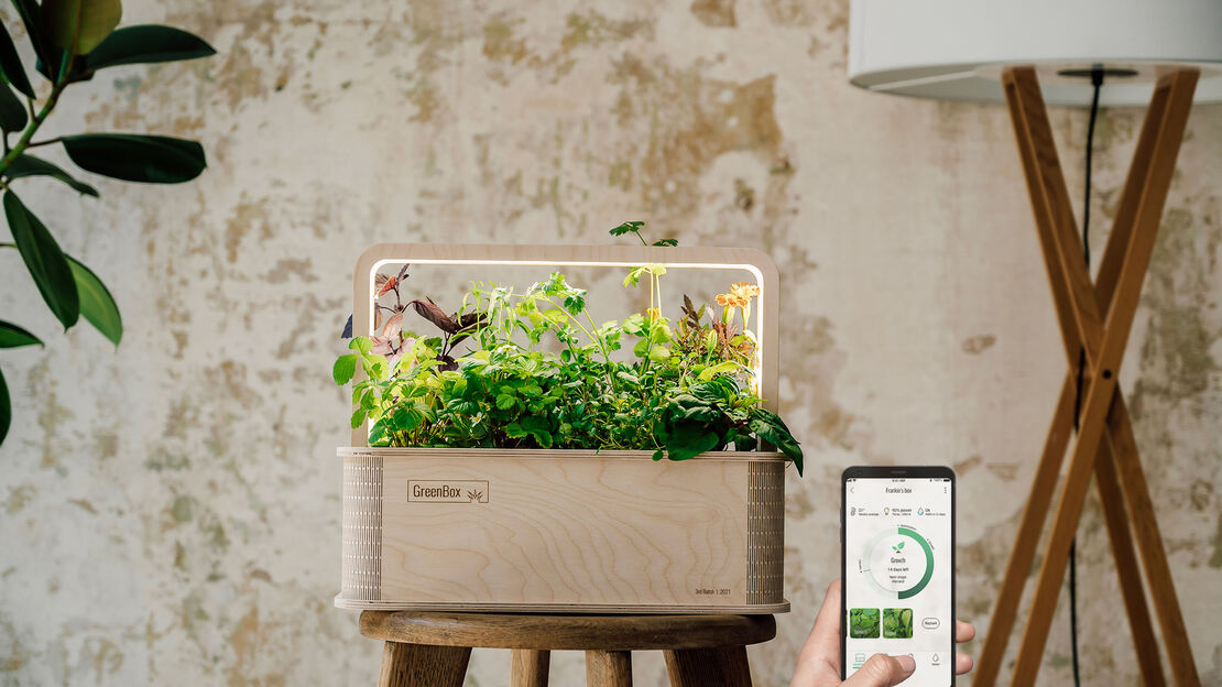 Gewinne einen GreenBox Einstieg Deluxe Bundle von BerlinGreen