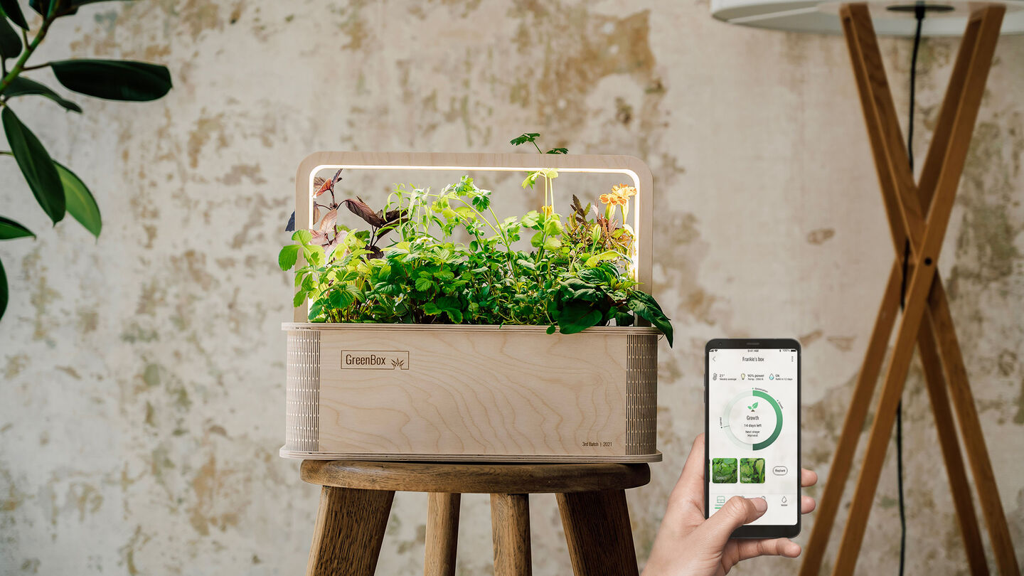 Gewinne einen GreenBox Einstieg Deluxe Bundle von BerlinGreen