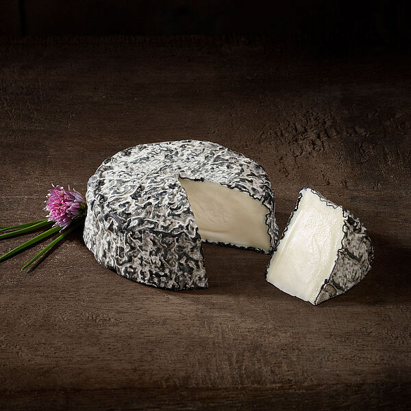 Le Cabrissac Ziegenkäse auf Schieferplatte