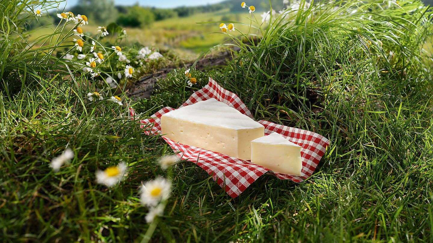 Le Rustique Le Bon Brie - Keyvisual