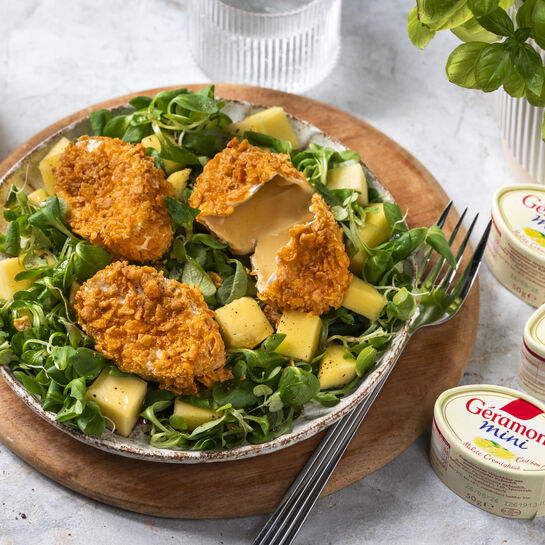 Knusprige_Kaese-Ecken_auf_Mango-Feldsalat-quer Knusprige Käse-Ecken auf Mango-Feldsalat