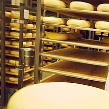 Käse Herstellung Söbbeke