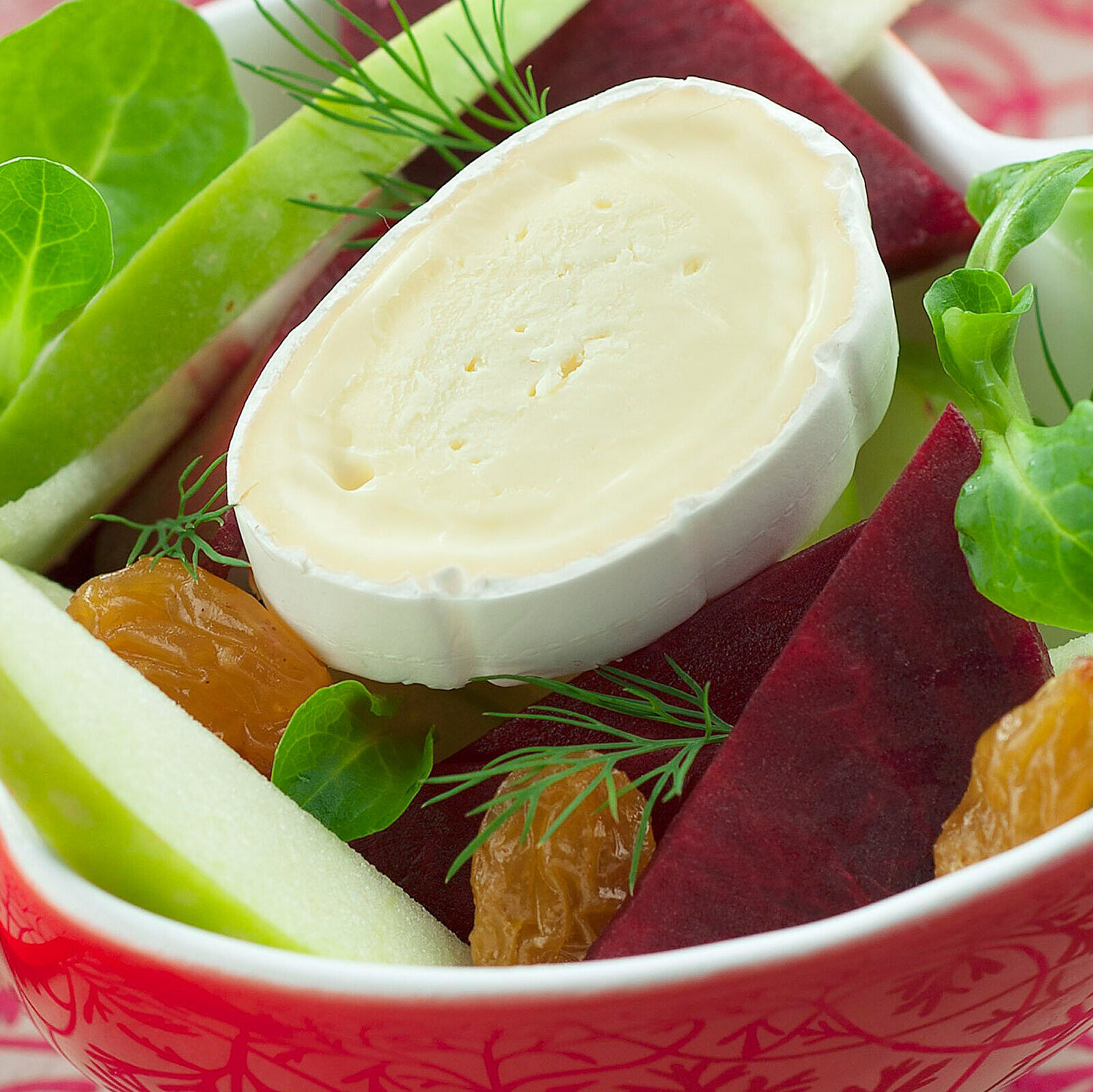 Knackiger Salat mit Käse und Radieschen