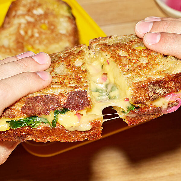 Goldbraun gegrilltes Vollkornsandwich mit eingelegten Zwiebeln und geschmolzenem HOPE Käse