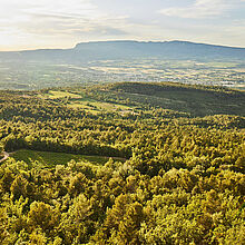 BRESSO die echte Provence Landschaft