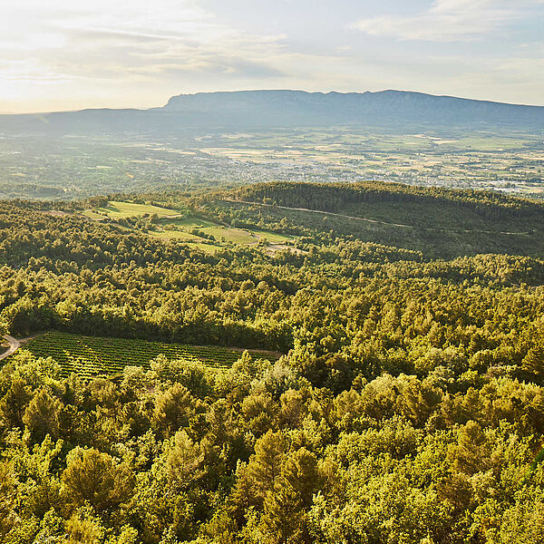 BRESSO die echte Provence Landschaft