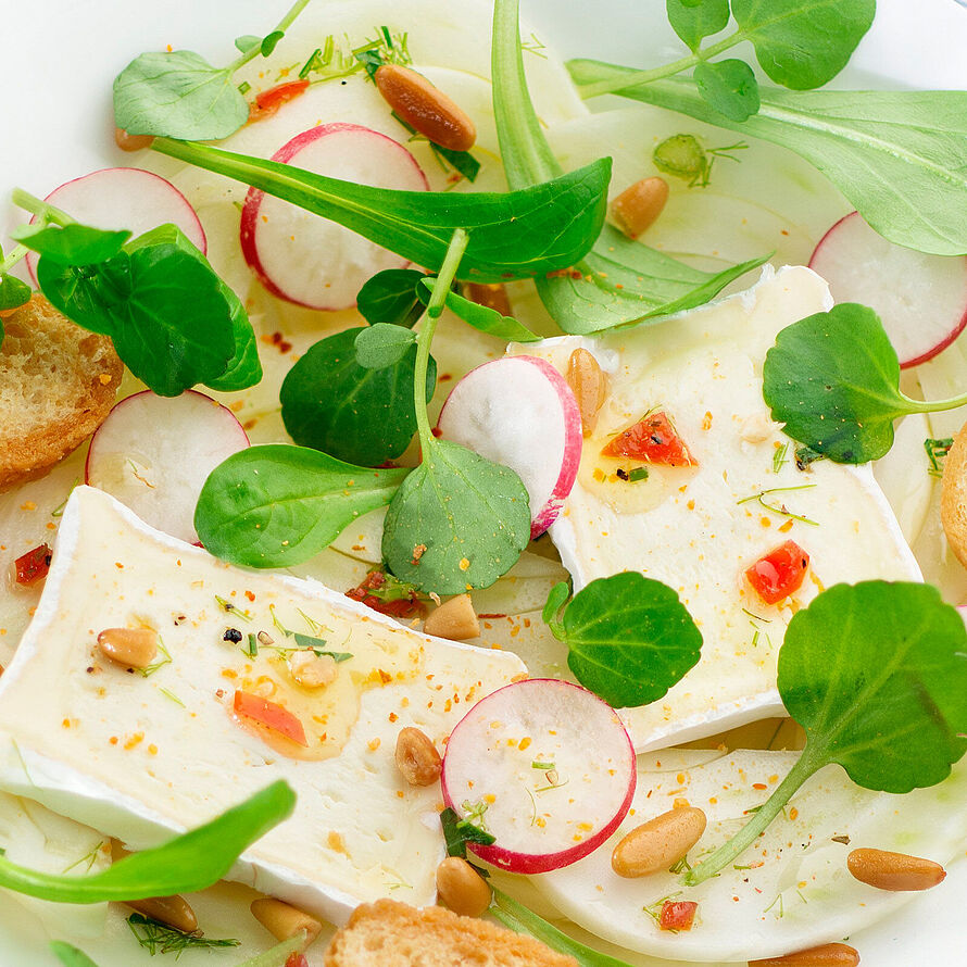 Raffinierte Salat mit Fenchel, Radieschen und Géramont Classic. Als leichte Hauptspeiche oder lockere Beilage.